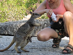 CairnsTC129 Granite Gorge